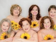 CALENDAR GIRLS POSTER