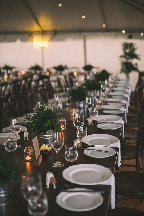 Elegant Wedding Table And Chairs — Wedding & Event Hire In Goonellabah, NSW