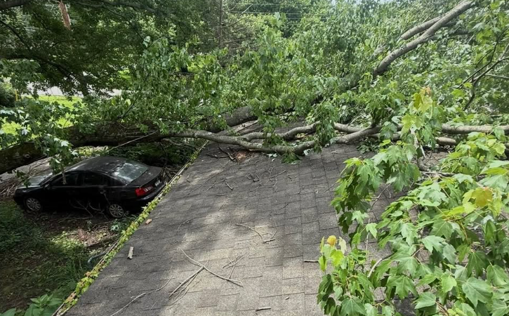 emergency storm damage tree service