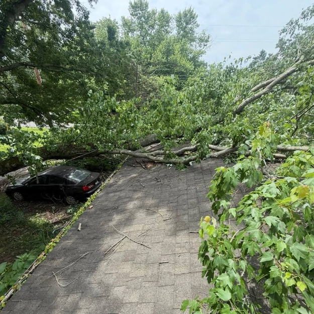 storm damage tree service