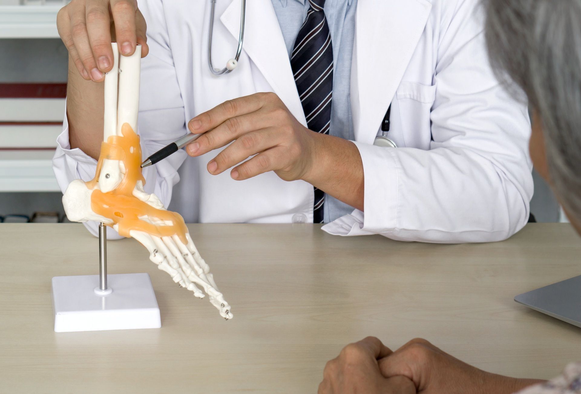 A doctor is showing a model of a foot to a patient.