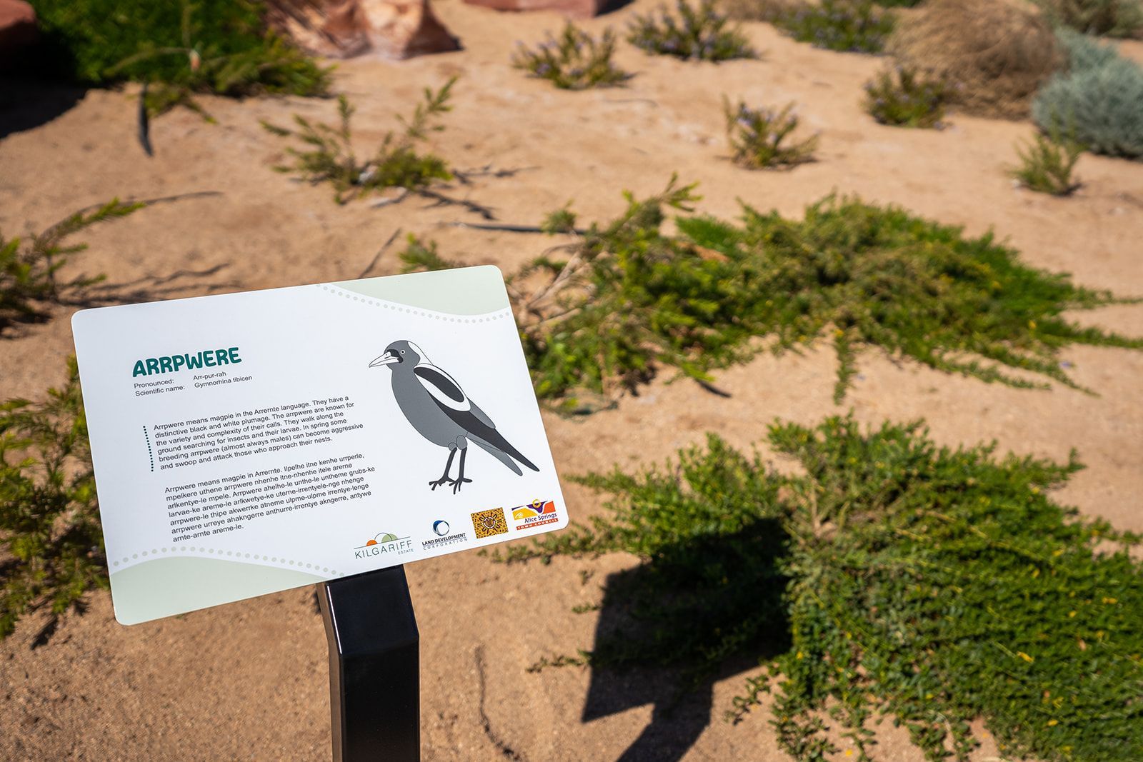 A sign with a bird on it is sitting in the sand.