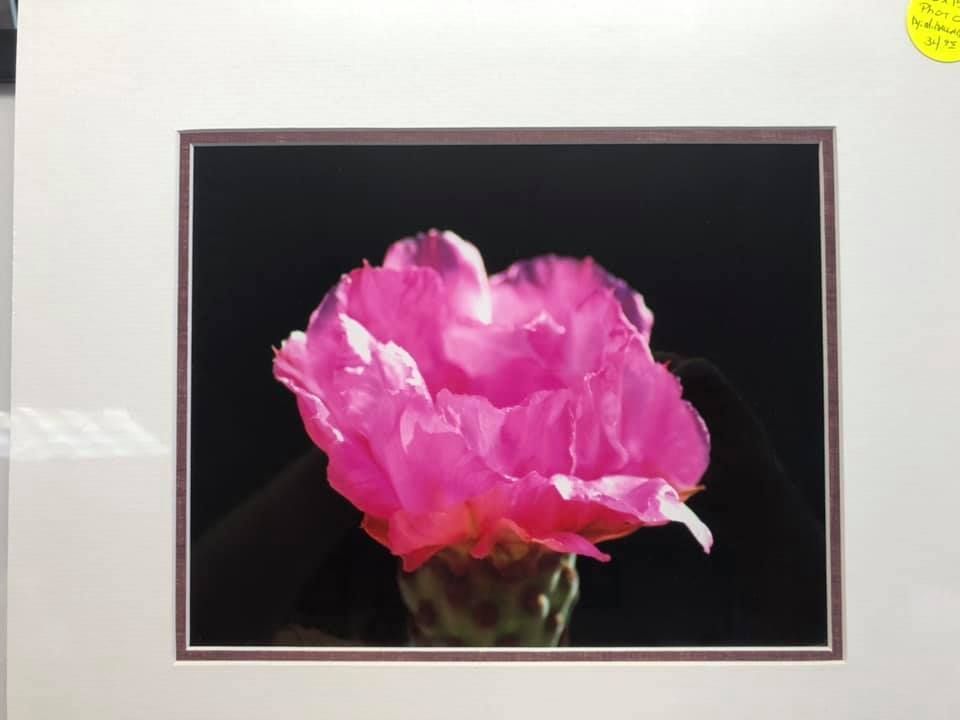 Two-story house with gray siding and garage doors, wet street reflects the evening sky.
