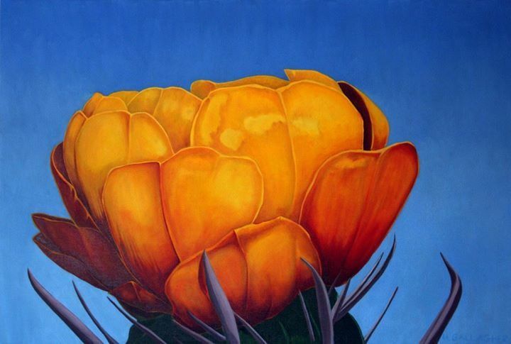 The inside of a moving truck filled with boxes and blankets.