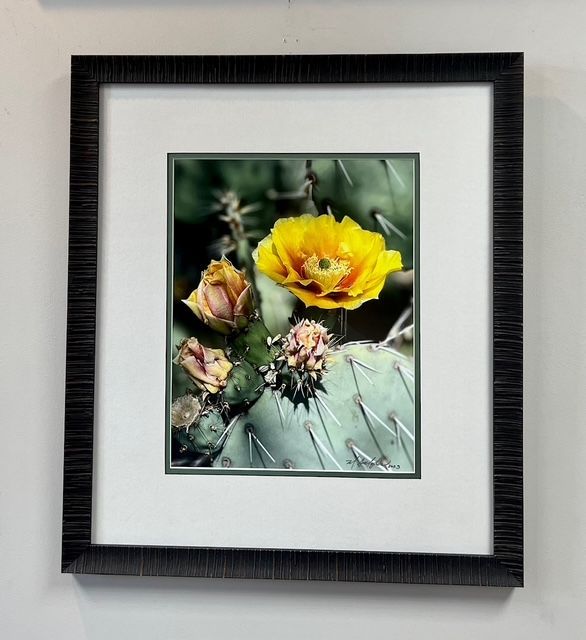The inside of a moving truck filled with boxes and blankets.