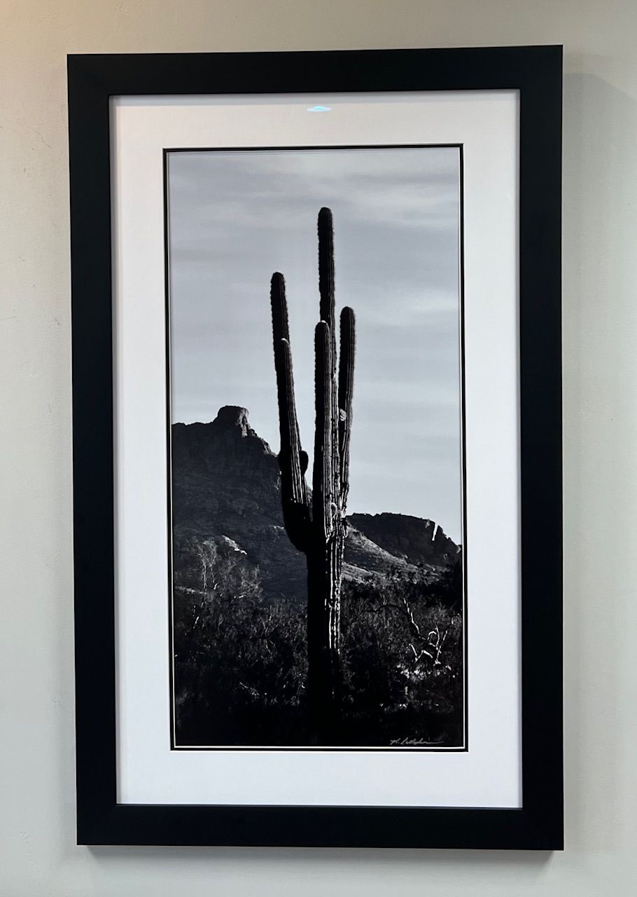A white truck is parked in a parking lot next to a building.