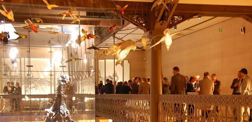 BIORGANIC traiteur événementiel gastronomique 100% Bio à Bruxelles, Musée des Sciences Naturelles est un ancien hôtel avec un décor raffiné
