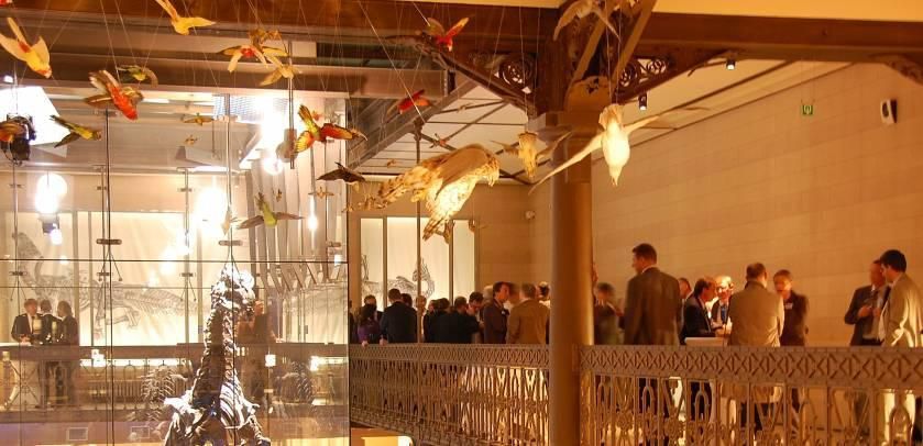 Musée des Sciences  Naturelles -Salle à louer à Bruxelles pour vos évènements professionnels