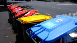 A line of colorful trash and recycling bins with red, yellow, and blue lids parked on an urban street curb.
