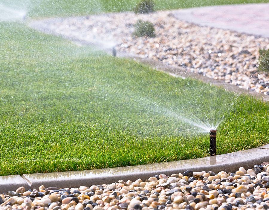 Sprinklers watering grass