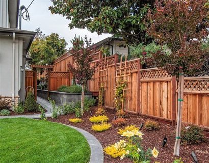 beautiful yard