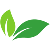 Leaves from logo