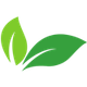 Leaves from logo