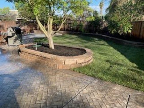Walnut Creek paver patio with landscaping