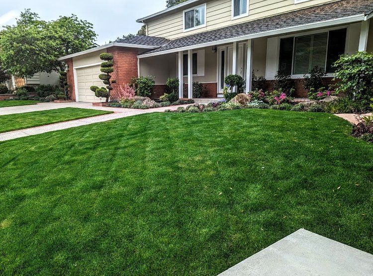 Castro Valley lawn & landscaping installation