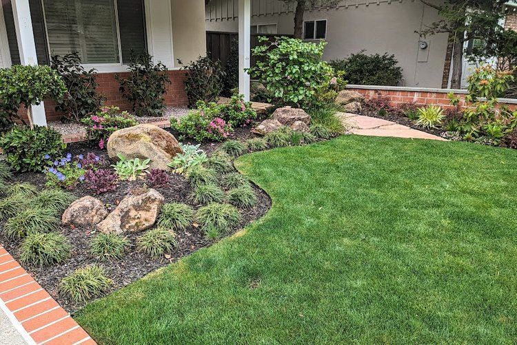 Castro Valley landscape garden bed