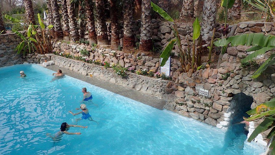 Un grupo de personas está nadando en una gran piscina rodeada de palmeras.