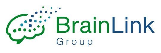 Brain Link Group logo