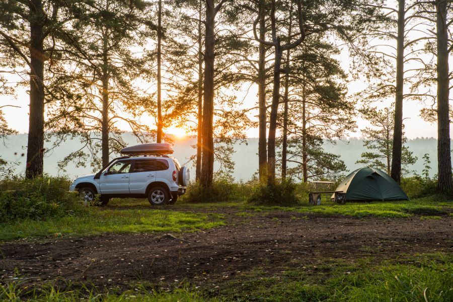 A Car is Parked in a Field Next to a Tent in the Woods — Murgon Auto Parts & Outdoors in Murgon, QLD