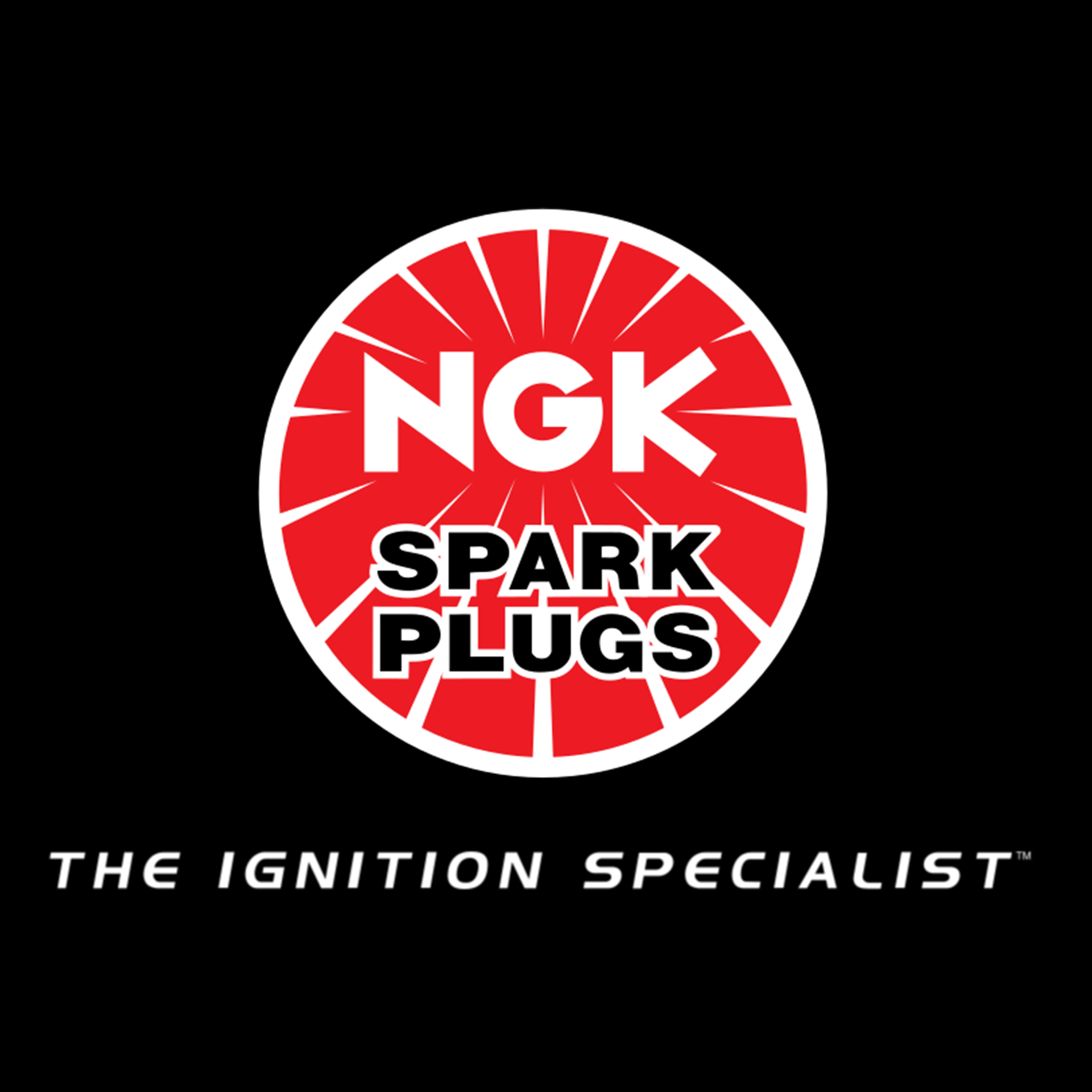 Ngk Spark Plugs