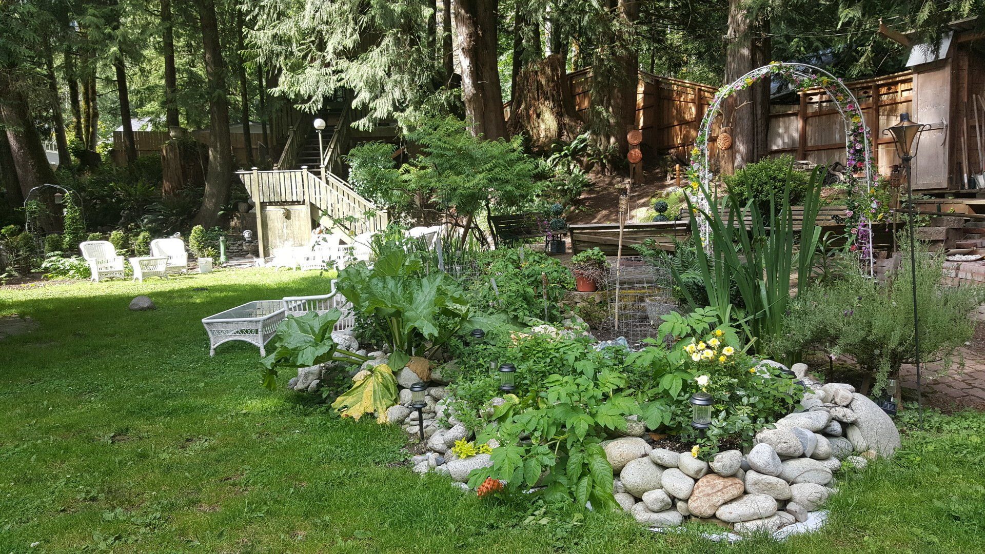 A garden with a lot of plants and rocks in it