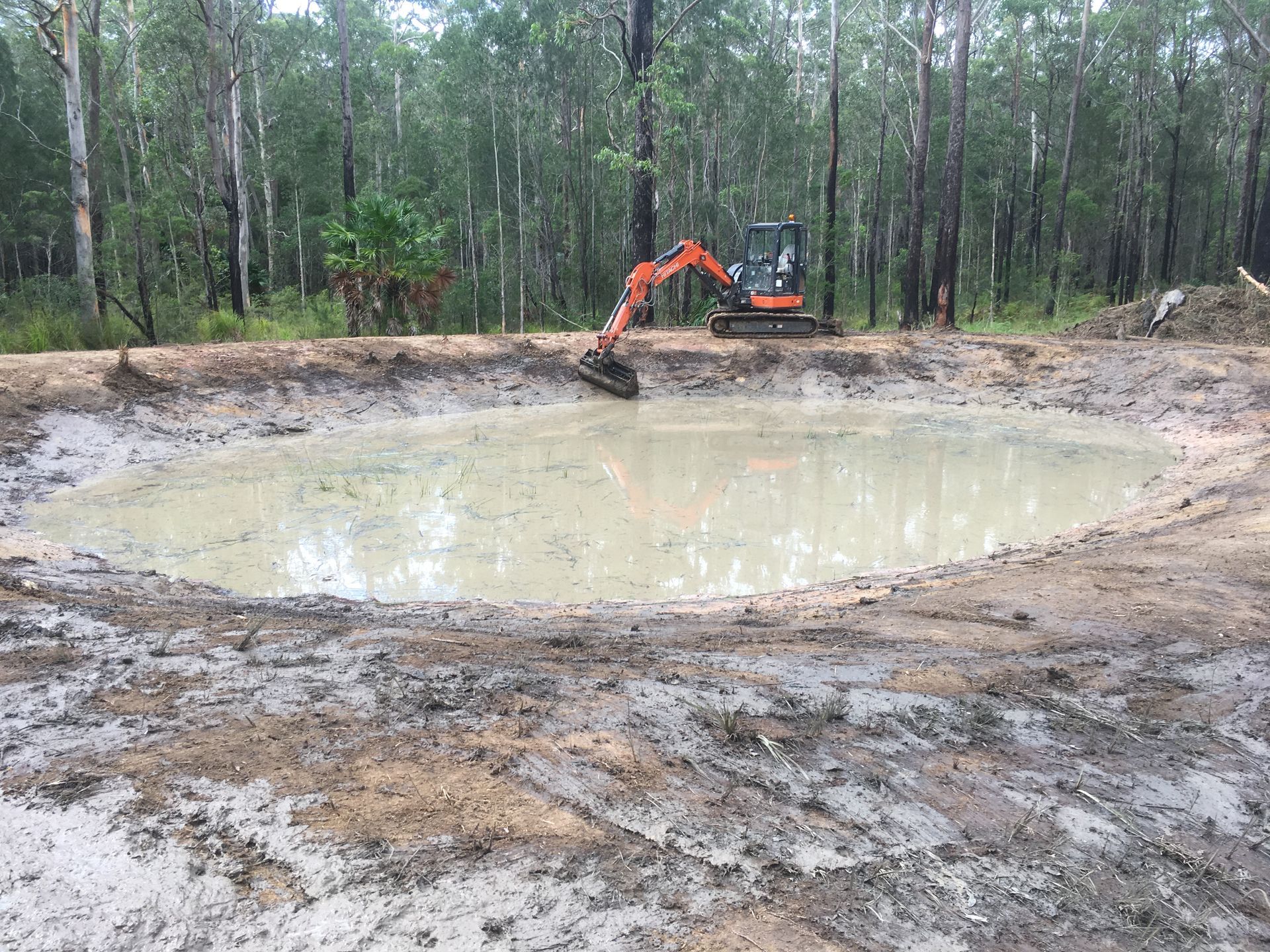 An excavator digs in a muddy pond, in a forest clearing. — Lakesway Earthmoving in Charlotte Bay, NSW