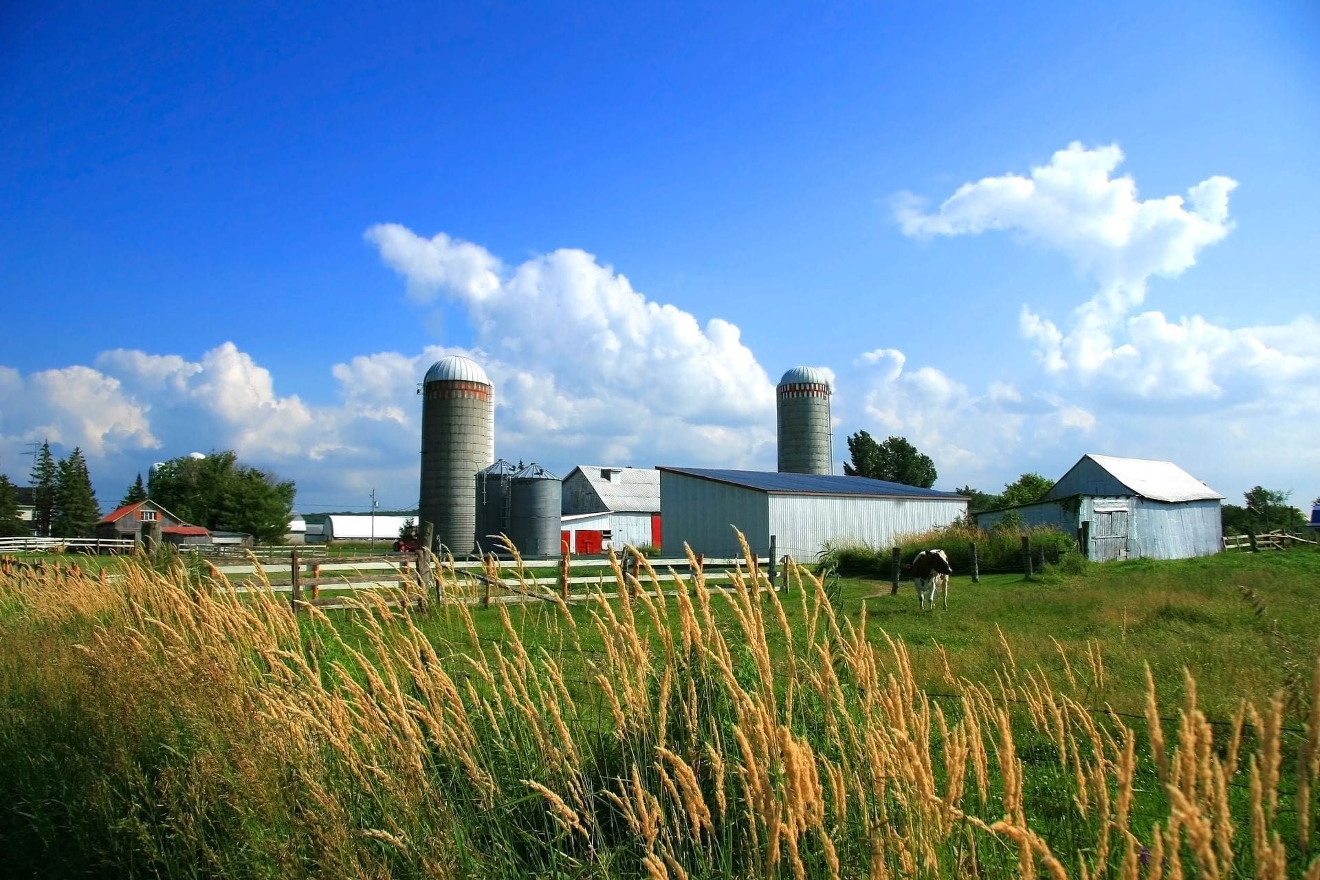 A farm with silos and a fence in the foreground
