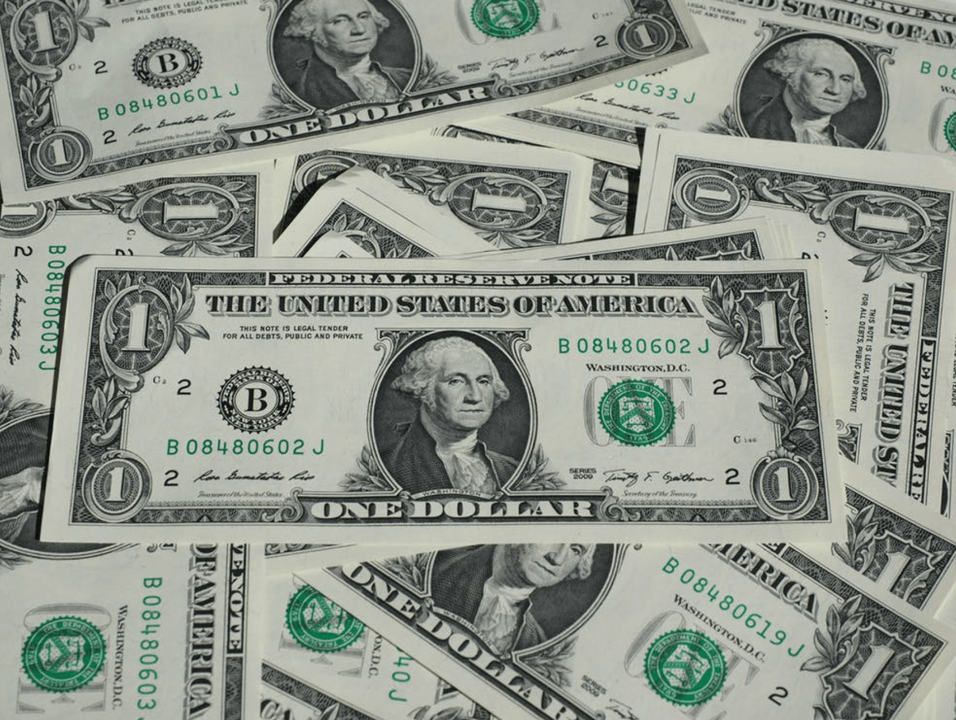 Dollar Bills — Livonia, MI — Charles J Schneider PC