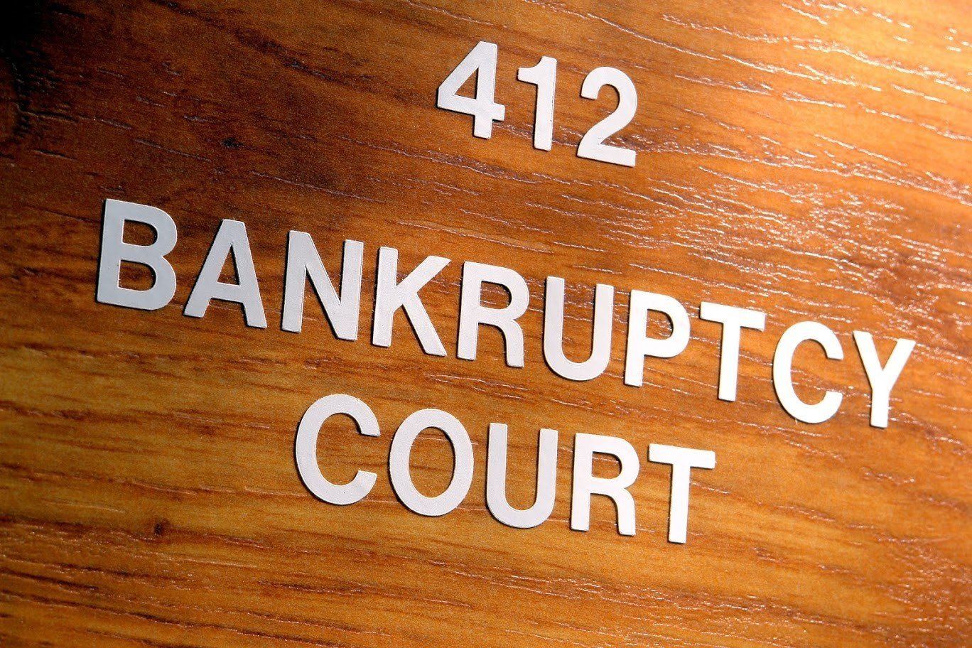 412 Bankruptcy Court — Livonia, MI — Charles J Schneider PC