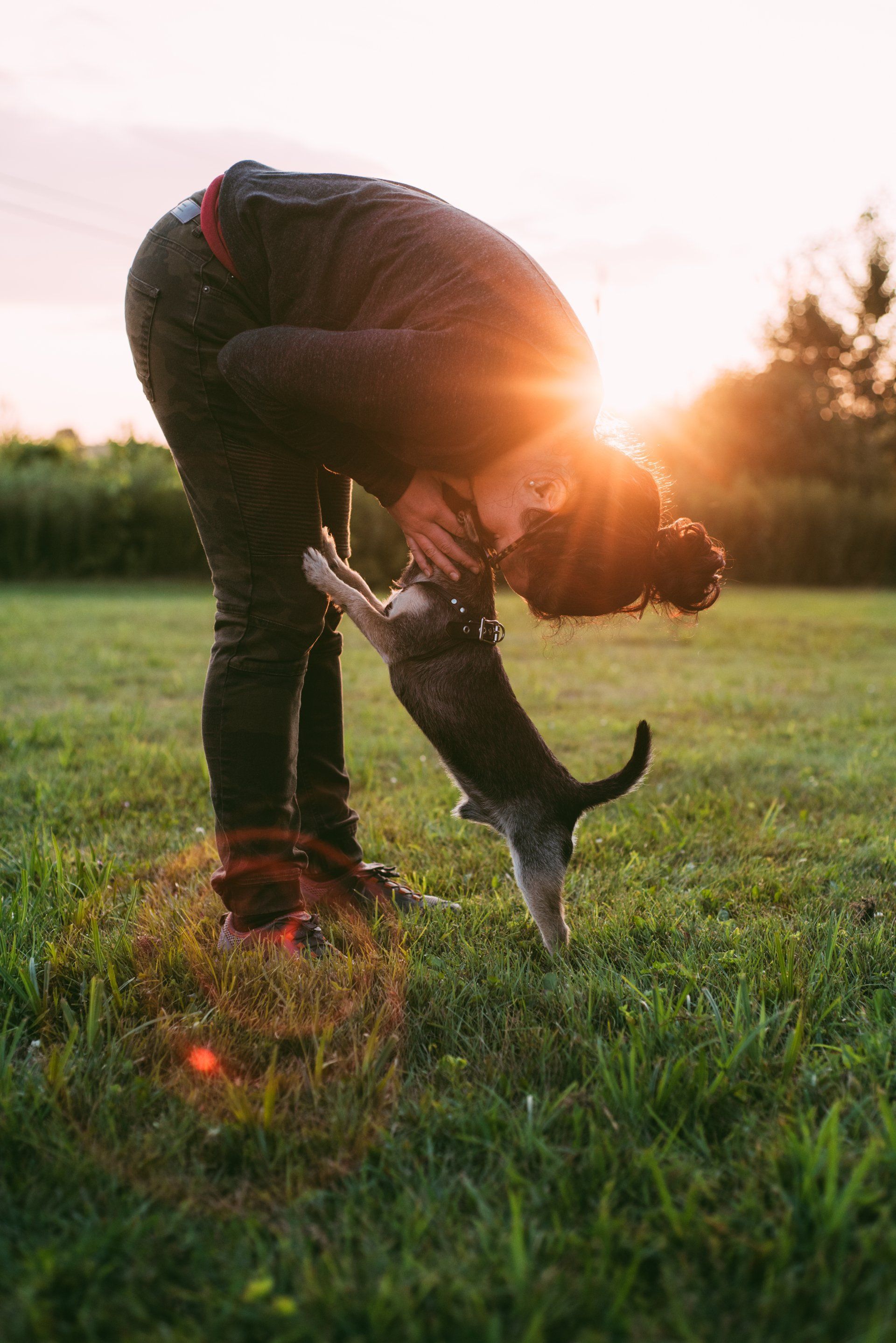 Woman bends to greet a small dog on a grassy field at sunset.