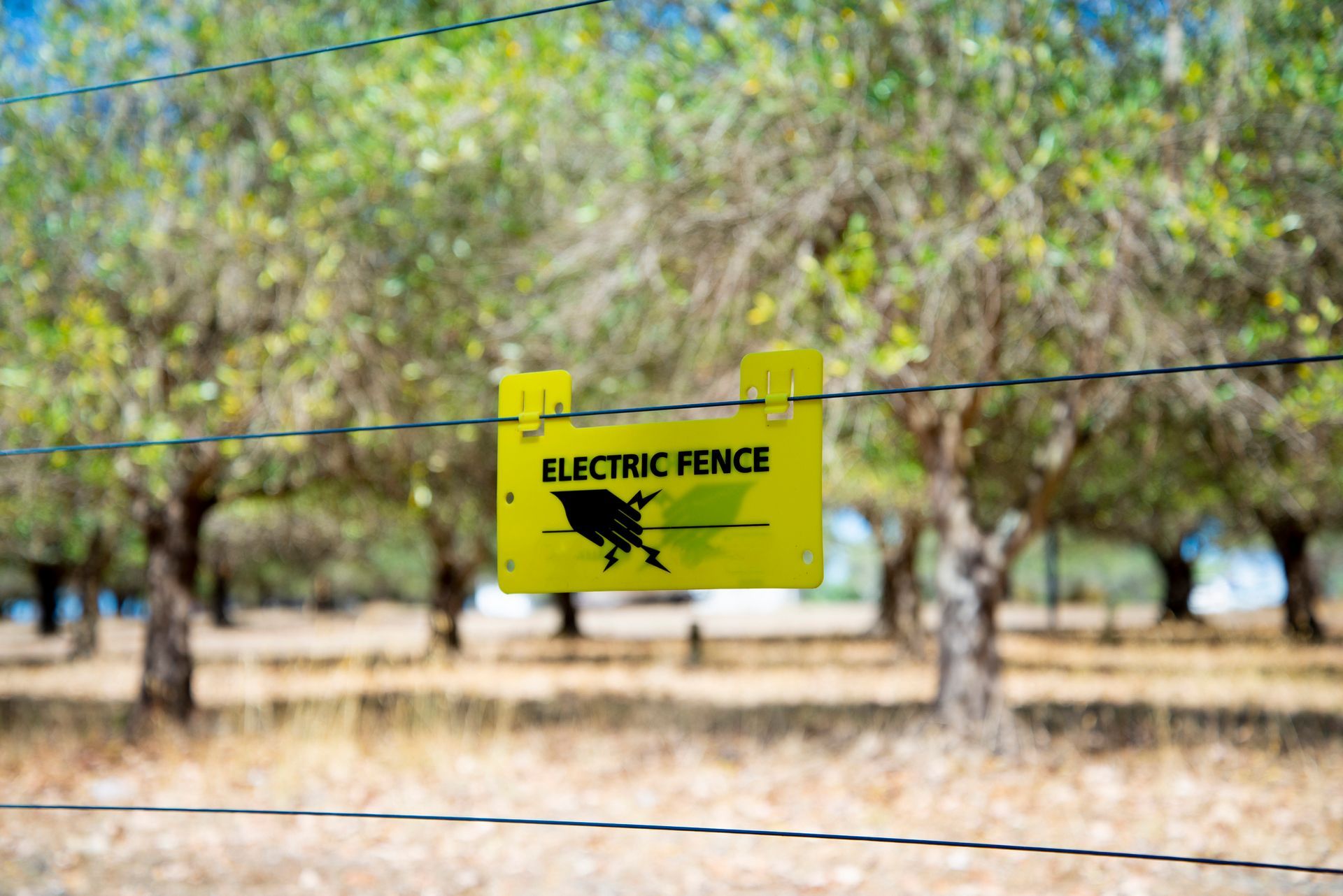 Electric Fence Installation in Cleveland, GA Electric Fence Installation in Cleveland, GA