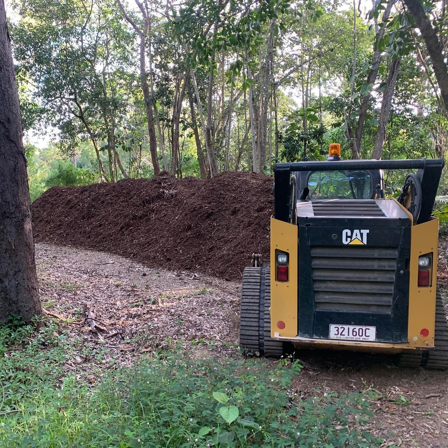 Yellow Cat Skid Steer — Terranovus Earthworks & Plant Hire in Cairns City, QLD