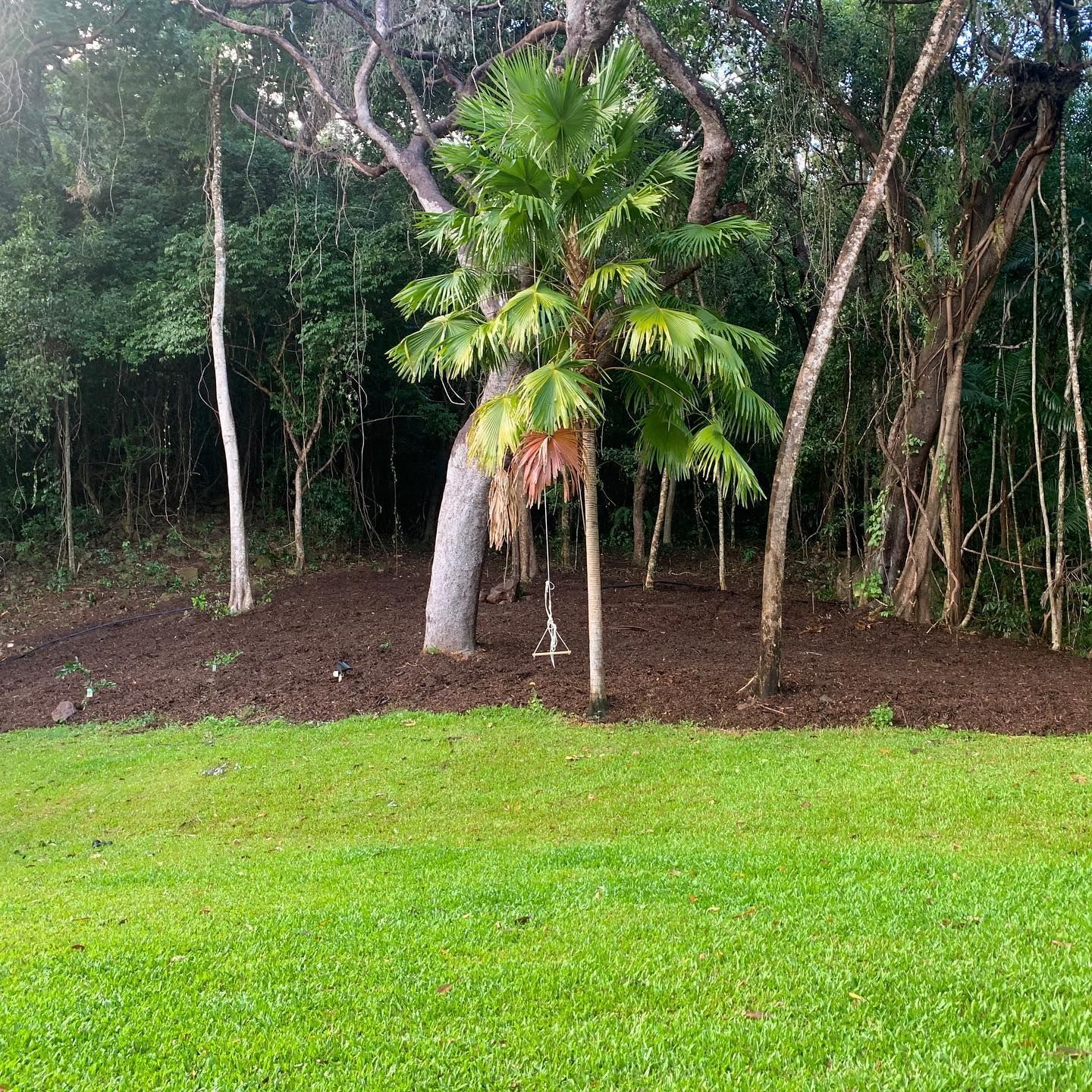 Green Grass Leads to a Mulch Bed —  Terranovus Earthworks & Plant Hire in Tablelands, QLD