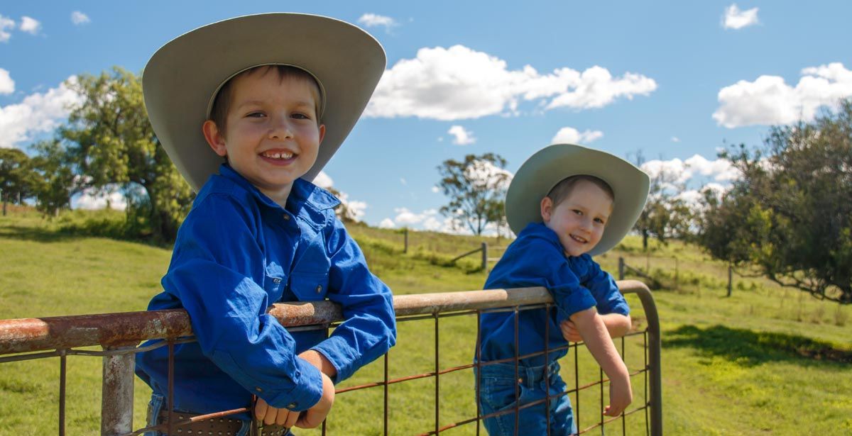 Schmaling boys in pasture