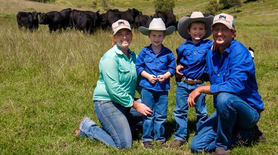 Exton Angus - Raising Cattle. Raising Standards.