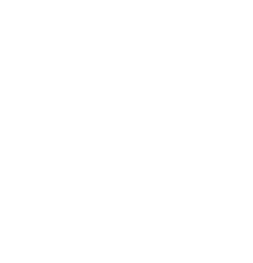 Queensland Built Bulls logo