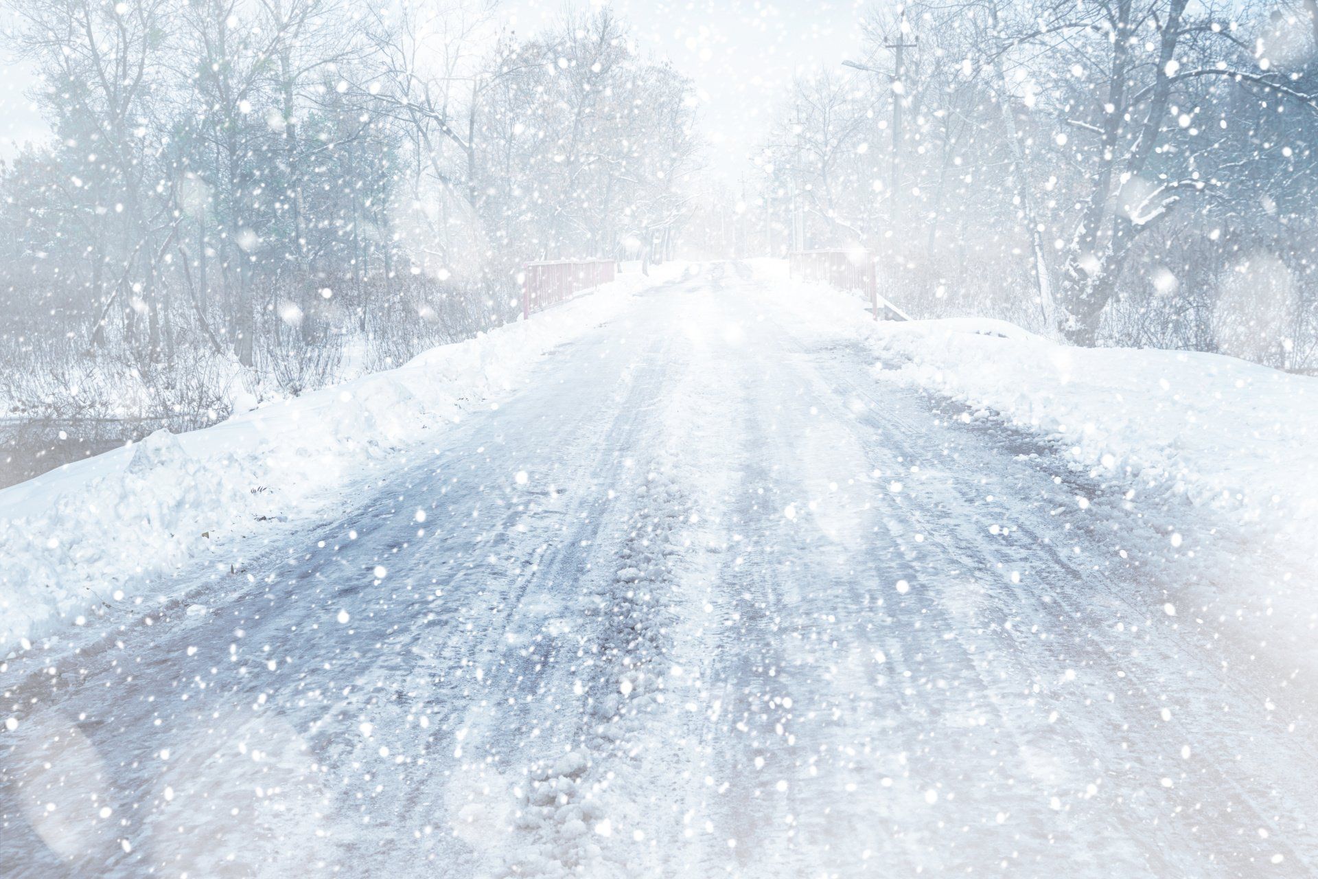 A snowy road with trees on the side of it