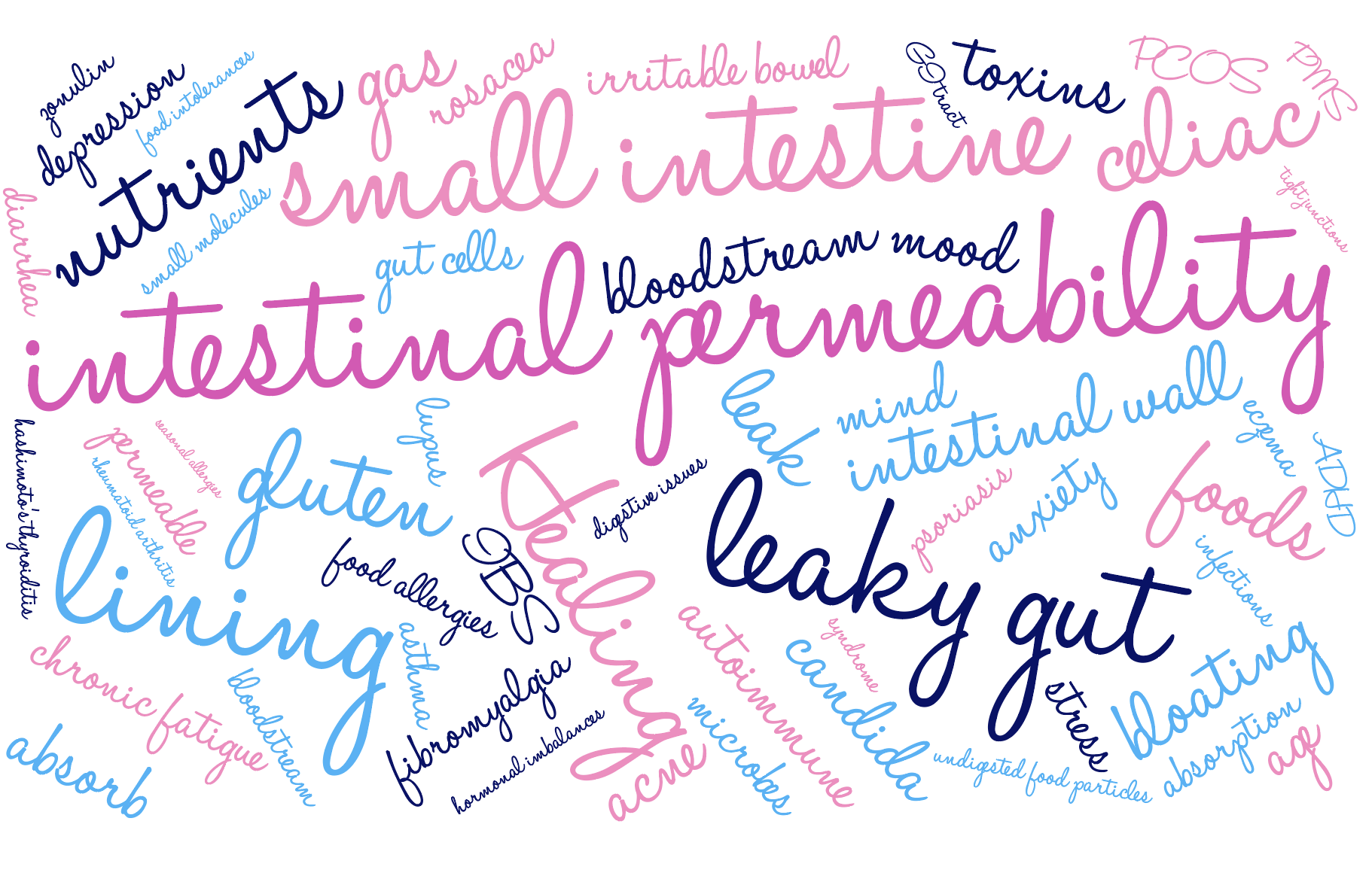 A word cloud with the word intestinal permeability in the middle