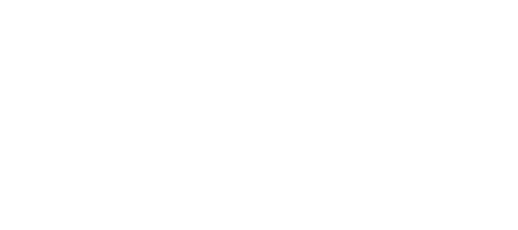 Logo Transition Solutions