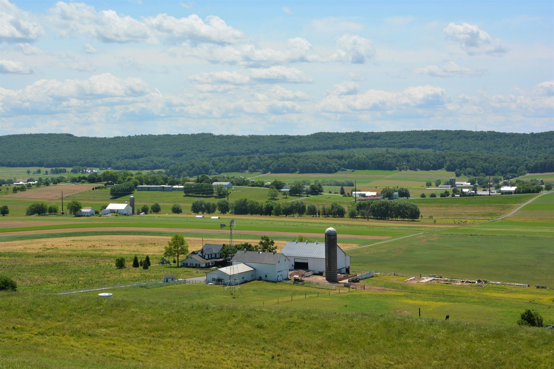 Planting in a pot A man is planting a plant in a pot on a table.