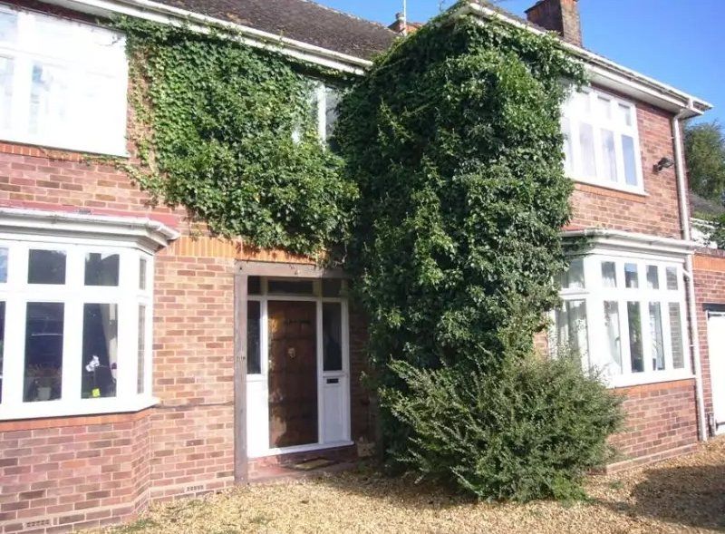 house with beautiful plants all over it