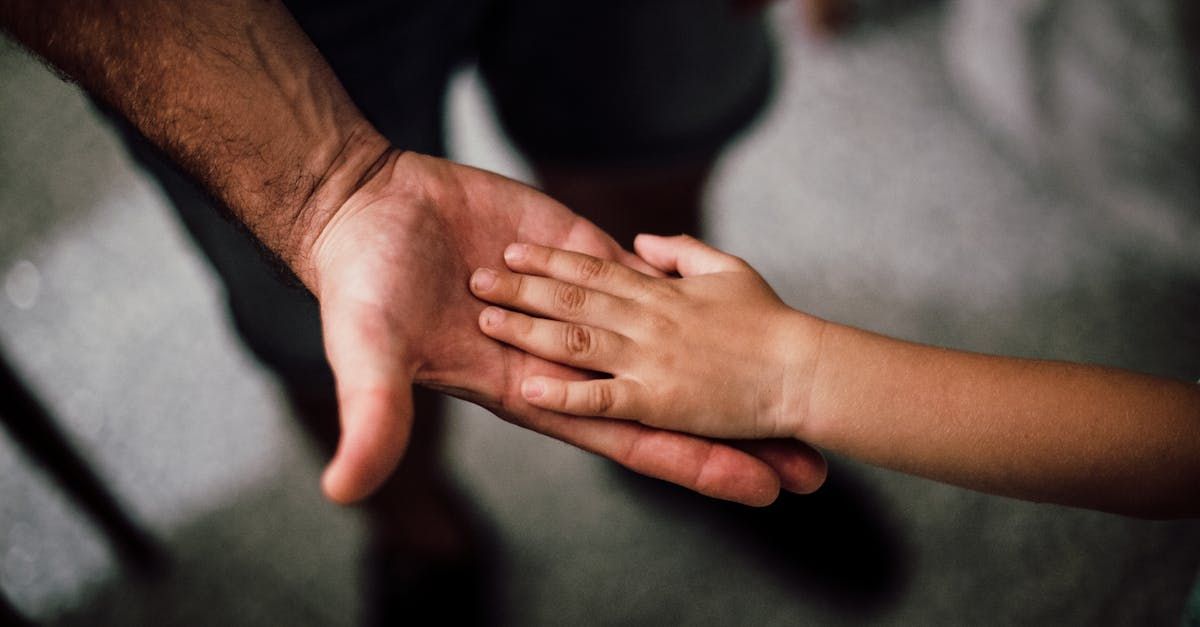 A man and a child are holding hands.