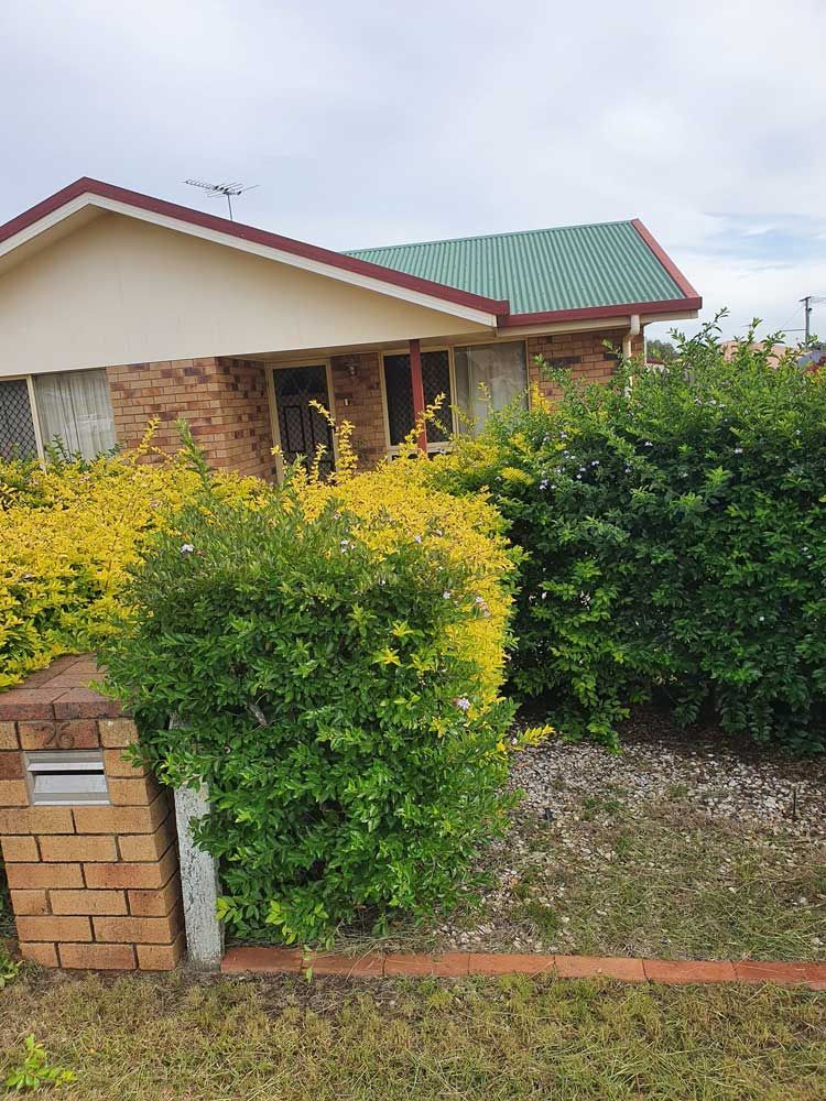 Hedges In Front Lawn — Professional Gardening Services in The Range, QLD