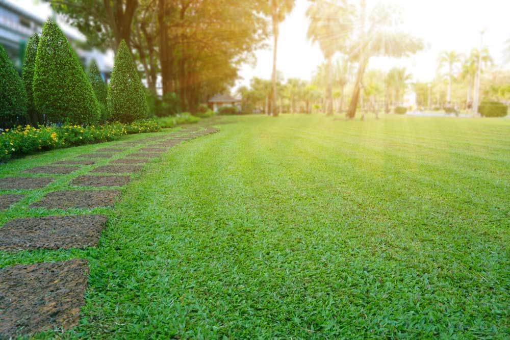 Stone Path On Mowed Lawn — Professional Gardening Services in The Range, QLD