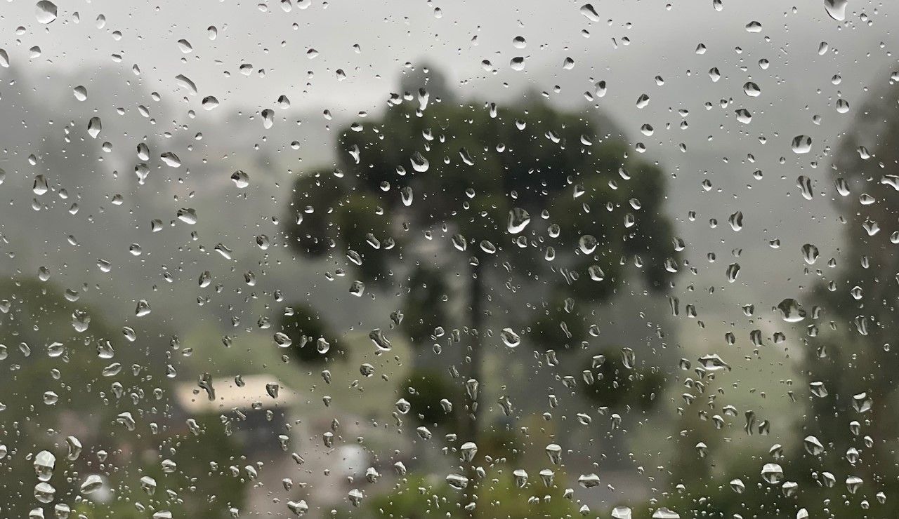 Uma janela com gotas de chuva e uma árvore ao fundo.