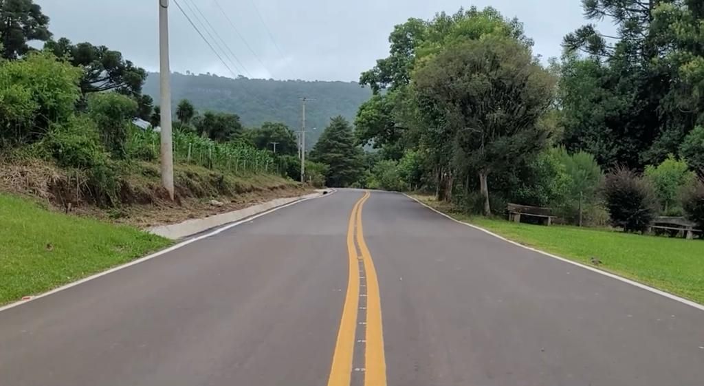 Uma estrada com duas linhas amarelas é cercada por árvores e grama.