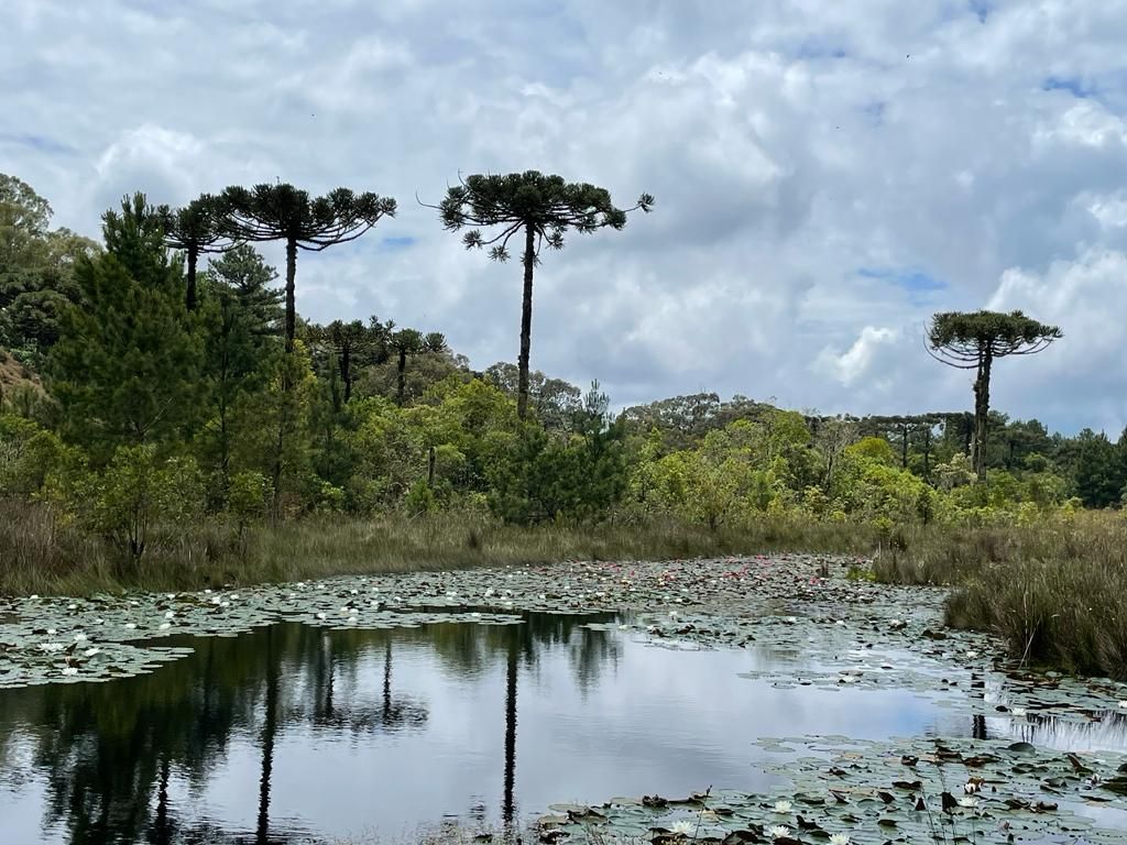 Um lago com árvores ao fundo e um céu nublado
