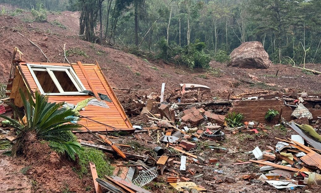 Uma pequena casa está no topo de uma pilha de escombros no meio de uma floresta.