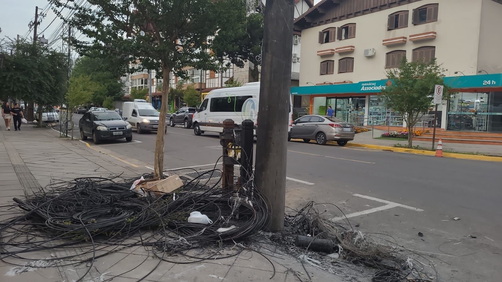 Uma rua com um hidrante e uma árvore no meio.