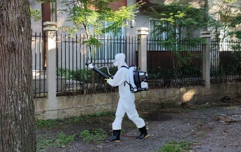 Um homem com traje de proteção está pulverizando uma árvore com um pulverizador.
